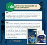  CTY - Viên uống hỗ trợ thải độc mỡ nội tạng Vitatree Organ Fat Detox 60 viên 