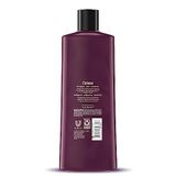  Sữa tắm Caress BlackCaress Rose & Ylang Ylang Oil Body Wash 532ml 18Oz (Chai) 