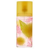  Nước hoa Elizabeth Arden Green Tea Mimosa EDT 3.3Oz 100ml 