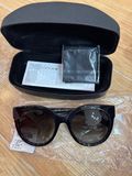  Kính Ferragamo Women's Sunglasses SF1031S-001-53 