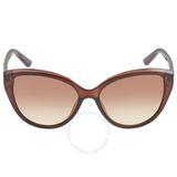  Mắt kính Calvin Klein Brown Gradient Cat Eye Ladies Sunglasses CK19536S 210 55 