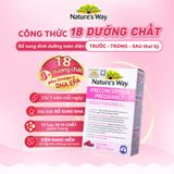 CTY - Vitamin tổng hợp cho bà bầu Nature's Way PreConception Pregnancy Breastfeeding Plus 30 viên 