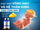  CTY - Viên uống bổ sung Omega Fish Oil Careline 1000mg 100 viên 