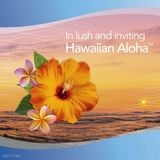  Tách lẻ nước hoa cho xe hơi Febreze Hawaiian Aloha 