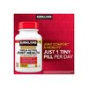  Viên uống hỗ trợ xương khớp Kirkland Triple Action Joint Health 110 viên 
