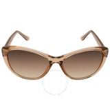  Mắt kính Calvin Klein Brown Gradient Butterfly Ladies Sunglasses CK19560S 