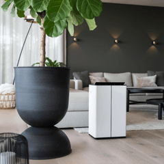 Máy hút ẩm và lọc không khí STADLER FORM LUKAS 20L