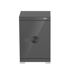 Két sắt Philips SBX602-6CU 89 Kg màu xám