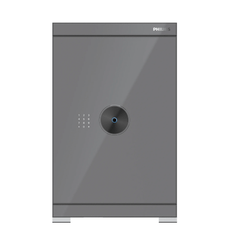 Két sắt Philips SBX602-7CU 113 Kg màu xám