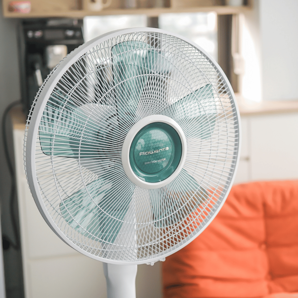 Quạt cây Rowenta VU5890 nội địa Đức