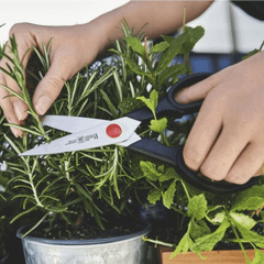 Kéo nhà bếp đa năng ZWILLING Twin