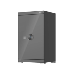 Két sắt Philips SBX602-8CU 131 Kg màu xám
