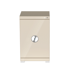 Két sắt Philips SBX602-7CU 113 Kg màu vàng champagne