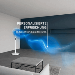 Quạt cây Rowenta VU5890 nội địa Đức
