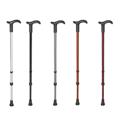 Gậy đi bộ Rebotec Simplex màu đen
