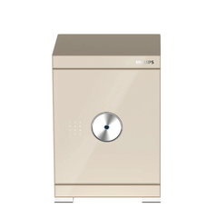 Két sắt Philips SBX602-5CU 71,5 Kg màu vàng champagne