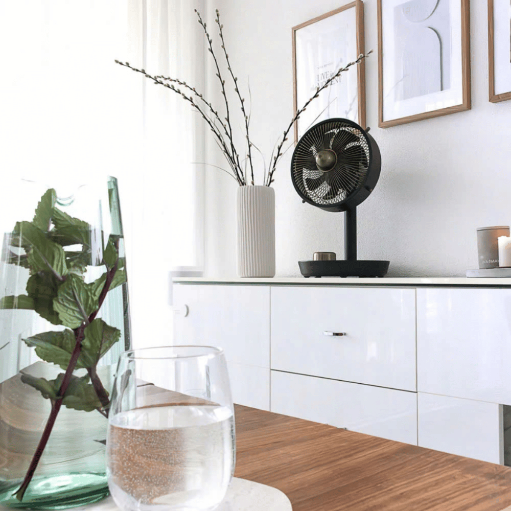 Quạt bàn Stylies Cepheus nội địa Đức
