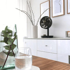 Quạt bàn Stylies Cepheus nội địa Đức