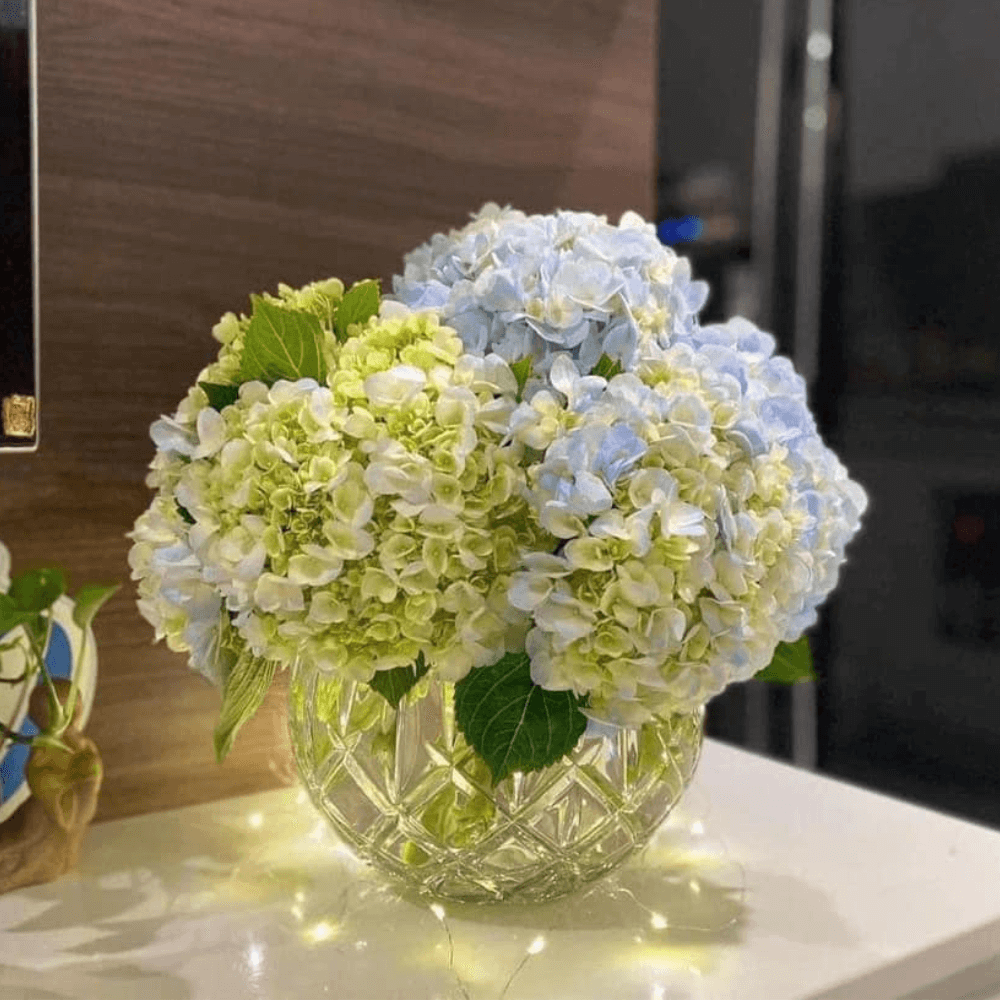 Lọ hoa cầu tròn pha lê Bohemia Sheffield 17,5cm