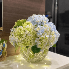 Lọ hoa cầu tròn pha lê Bohemia Sheffield 17,5cm