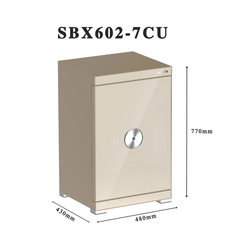 Két sắt Philips SBX602-7CU 113 Kg màu vàng champagne