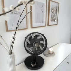 Quạt bàn Stylies Cepheus nội địa Đức