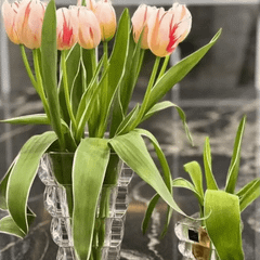 Bình hoa pha lê Rogaska Adria 20cm màu trắng