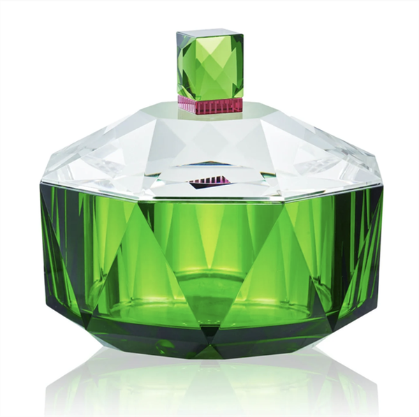 Thố Copenhagen New Haven (Clear/Green/Fuchsia) Reflections