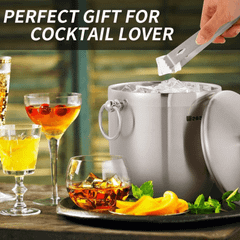 Xô đá ủ lạnh rượu Wenegg 3L màu bạc