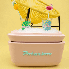 Hộp Picnic 20L Pop Nude Cyan PolarBox 992624 màu nâu
