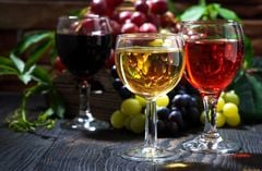 Tủ Rượu Vang Caso WineChef Pro 126-2D – 776