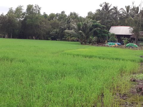 Bán đất trồng cây lâu năm xã Phú Đông, Nhơn Trạch, Đồng Nai, diện tích 1000m2, giá bán 870tr/1000m2