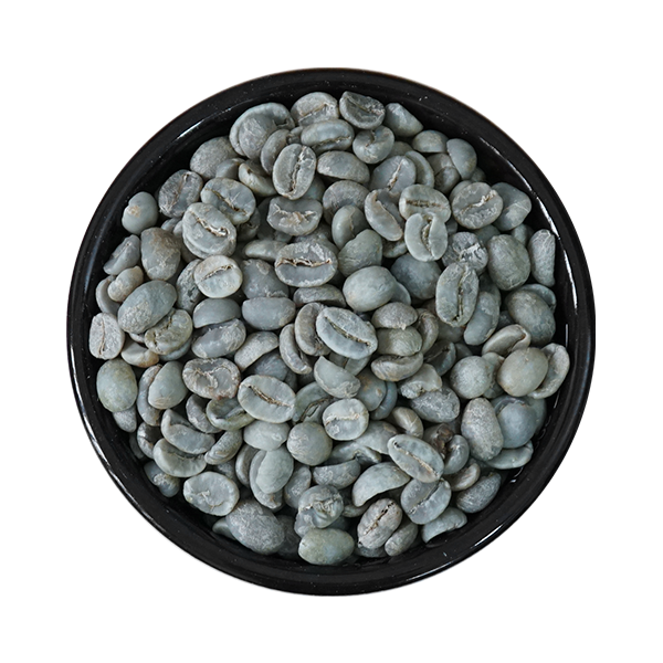  Cà phê nhân xanh Arabica Lạc Dương (sơ chế Ướt), Sàng 16/14 