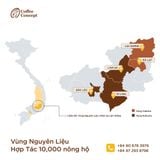  Cà phê nhân xanh Arabica Lạc Dương (sơ chế Ướt), Sàng 16/14 