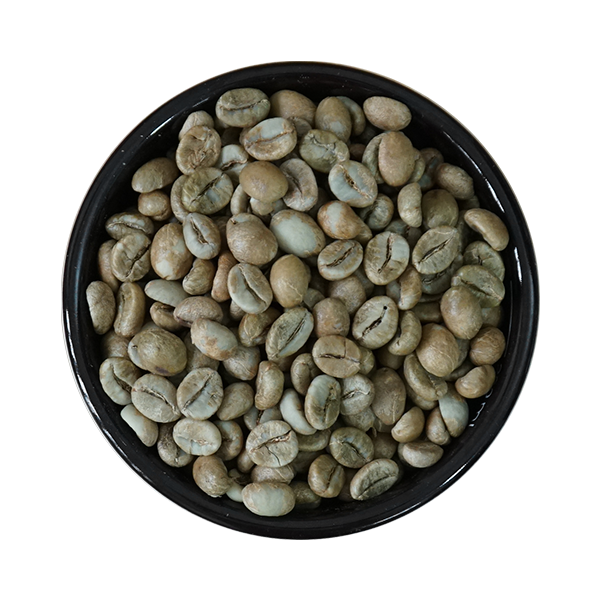  Cà phê nhân xanh Robusta chín 98% (sơ chế Khô), Sàng 18/16 
