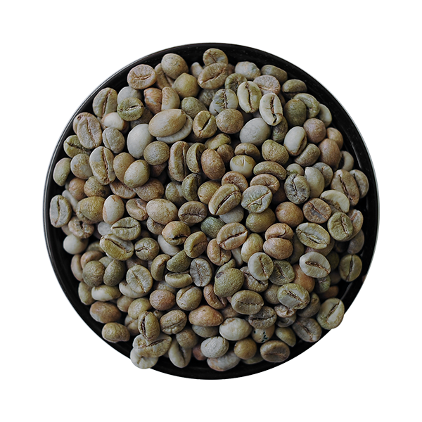  Cà phê nhân xanh Robusta Clean, Sàng 18/16 