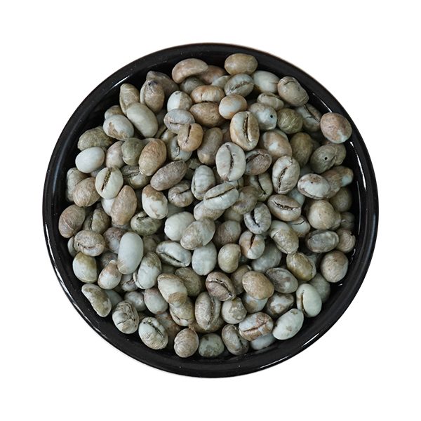  Cà phê nhân xanh Robusta Culi, Sàng 18 