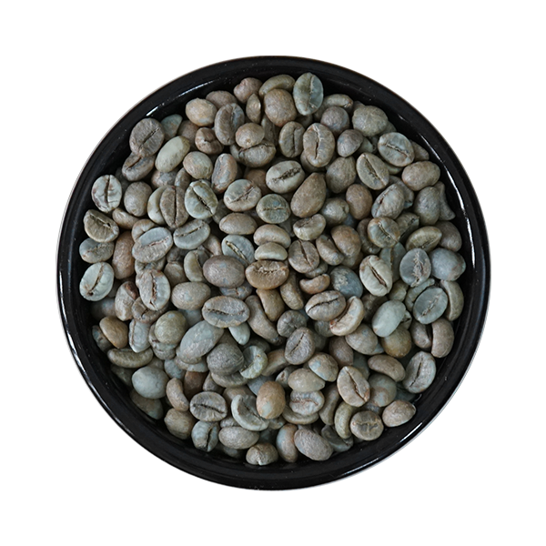  Cà phê nhân xanh Robusta (sơ chế Honey), Sàng 18/16 