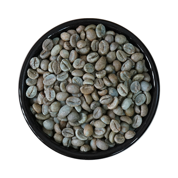  Cà phê nhân xanh Robusta (sơ chế Honey), Sàng 18/16 