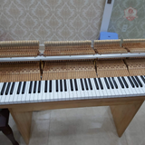 Dịch vụ xử lý búa đàn Grand Piano