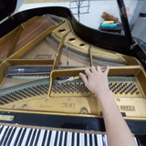 Dịch vụ chỉnh dây Grand Piano