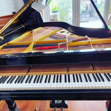 Dịch vụ chỉnh dây Grand Piano