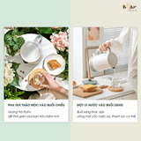  Ấm Siêu Tốc 1,7L Bear ZDH-Q17B1 