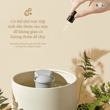  Máy Phun Sương Tạo Ẩm Bear JSQ-C45U1 