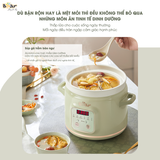  Nồi Nấu Chậm 2,0L Bear SB-NNC20 