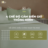  Quạt Cây Bear SB-QC47K 