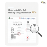  Máy Phun Sương Tạo Ẩm Bear JSQ-C45U1 