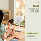  Quạt Cây Bear SB-QC47K 