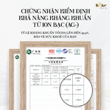  Đũa Nhựa Bear CX-E0102 | Hàng quốc tế 