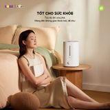  Máy Tạo Độ Ẩm Bear SB-TA50M 